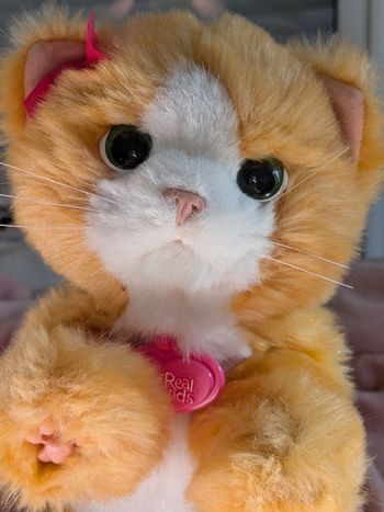 Peluche interactive chat