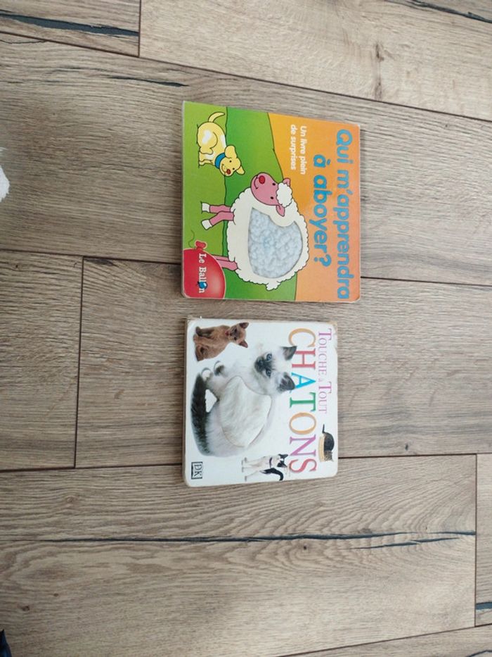 Livre enfant lot de 2