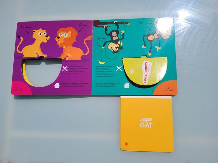 Livre surprise grand format 🦘 Coucou Kangourou ! 🦘 éditions langue de chat - photo numéro 7