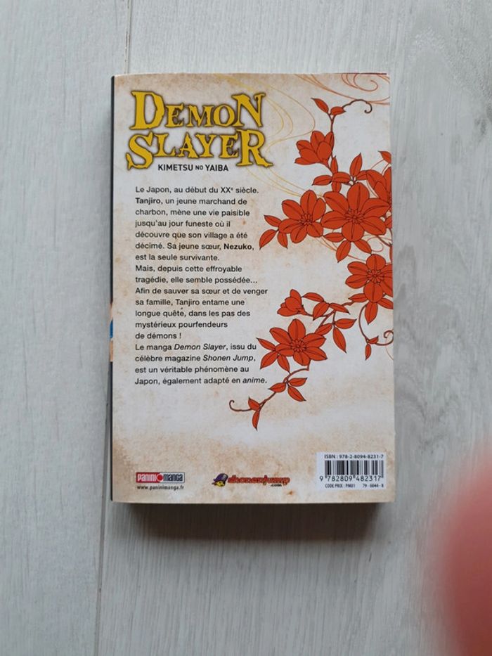 Demon Slayer Tome 1 - photo numéro 3