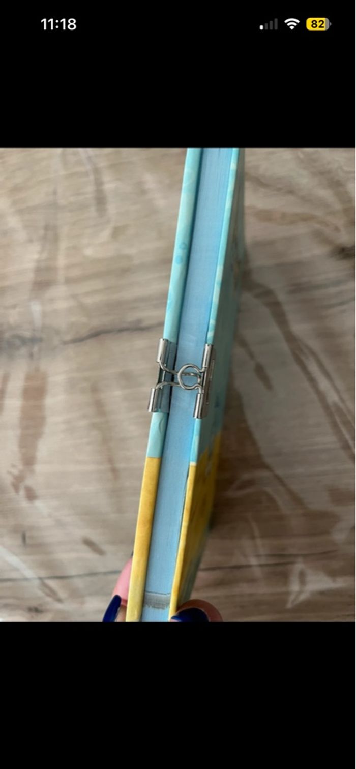 Carnet secret Diddl - photo numéro 4