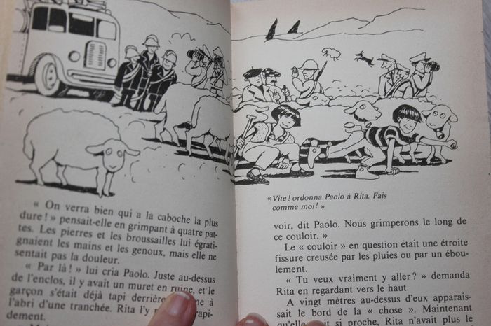 La tarte volante - photo numéro 2