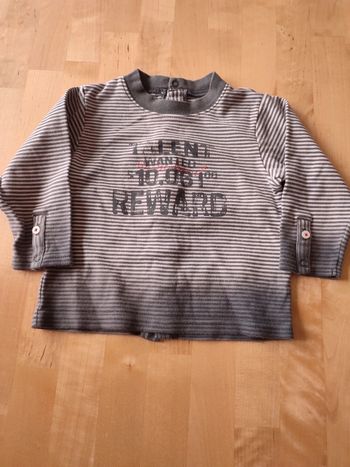 Pull Timberland