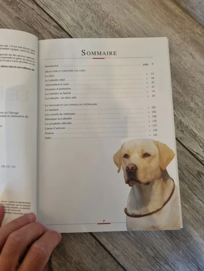 Livre Le Labrador - photo numéro 3