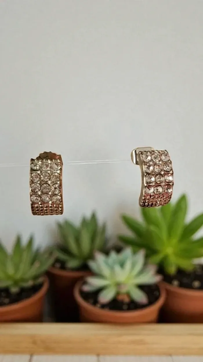 Jolies boucles d'oreilles