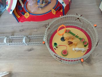 Dressage lions Playmobil 4233