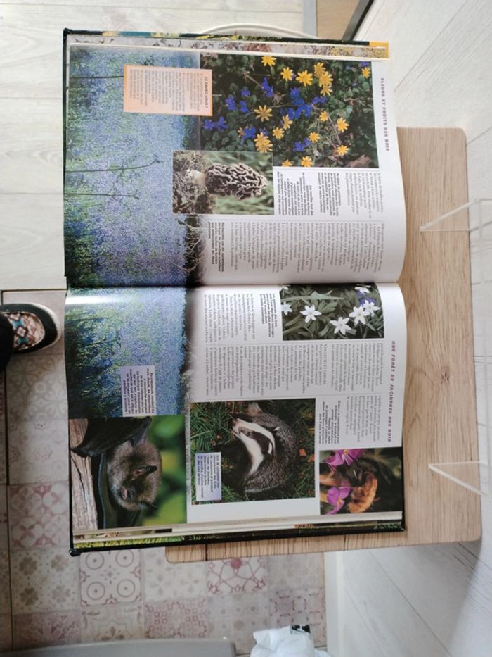 Livre sur la nature - photo numéro 3