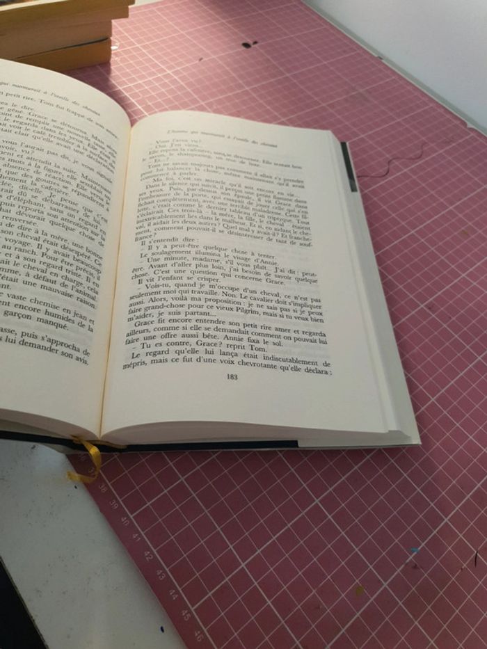 L'homme qui murmurait à l'oreille des chevaux - photo numéro 2