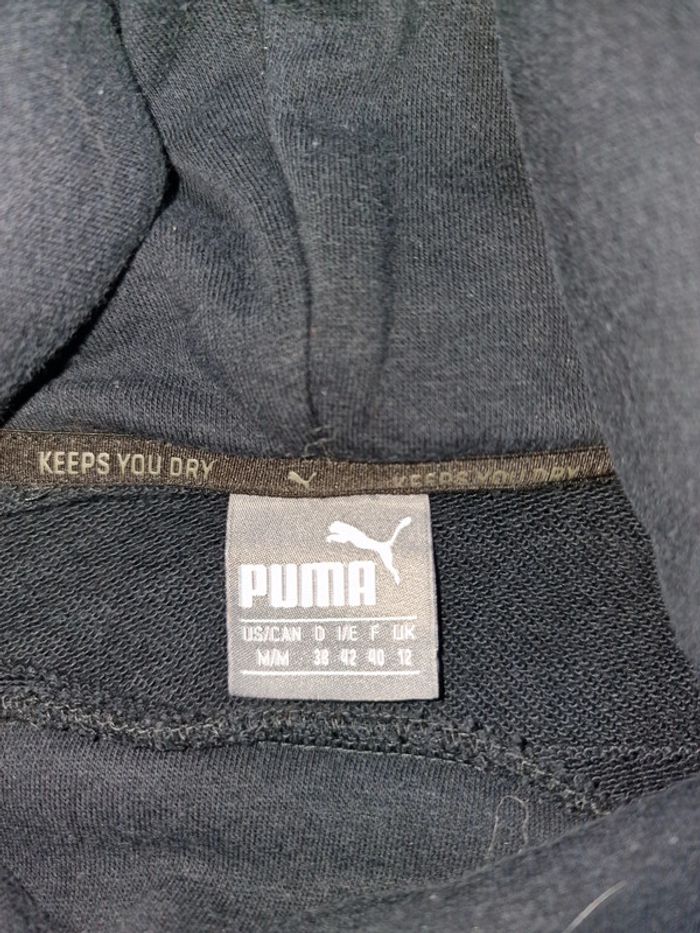Pull puma - photo numéro 4