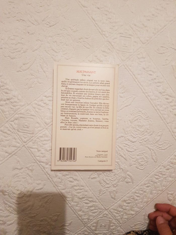 Une vie de Maupassant - photo numéro 2