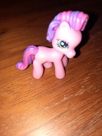 Petit poney