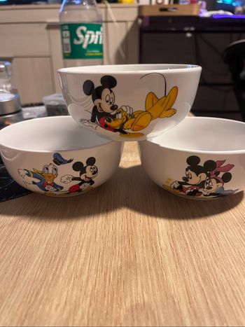 Bols porcelaine