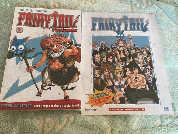 Fairy Tail grand format