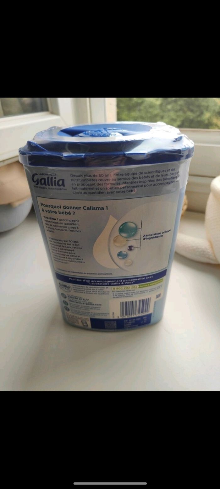 Gallia Calisma - photo numéro 2