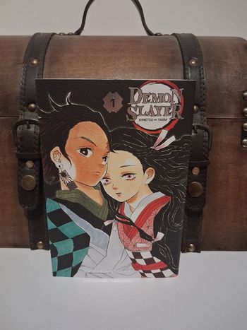 Manga Demon Slayer tome 1 édition limitée
