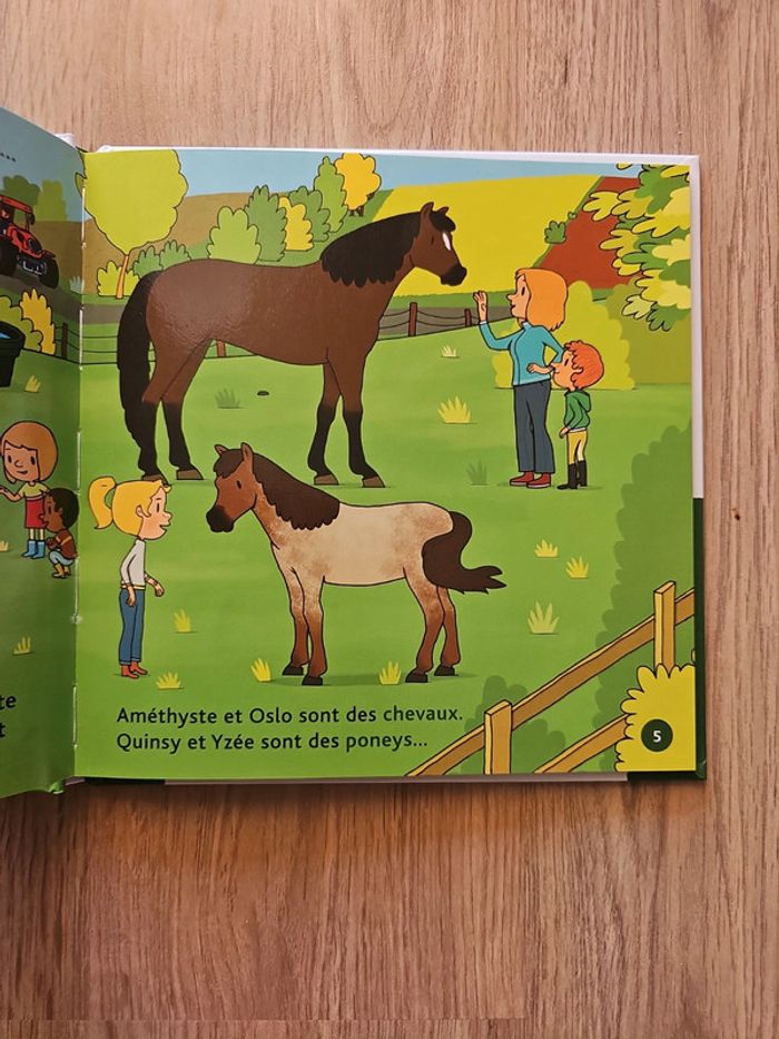 Livre mes p'tits docs : Les poney - photo numéro 2
