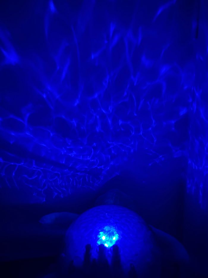 Tortue veilleuse bleu cloud B - photo numéro 8