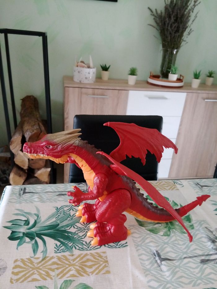 Dragon - photo numéro 2