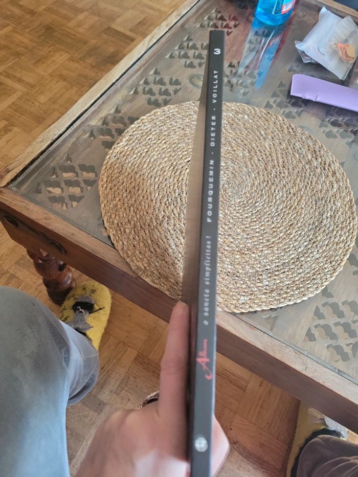 Alban. Tome 3. O sancta simplicitas ! - photo numéro 5