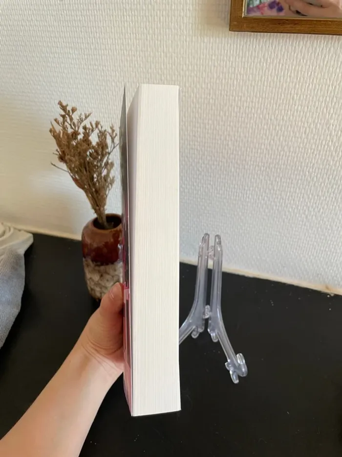 Livre - La villa - photo numéro 3