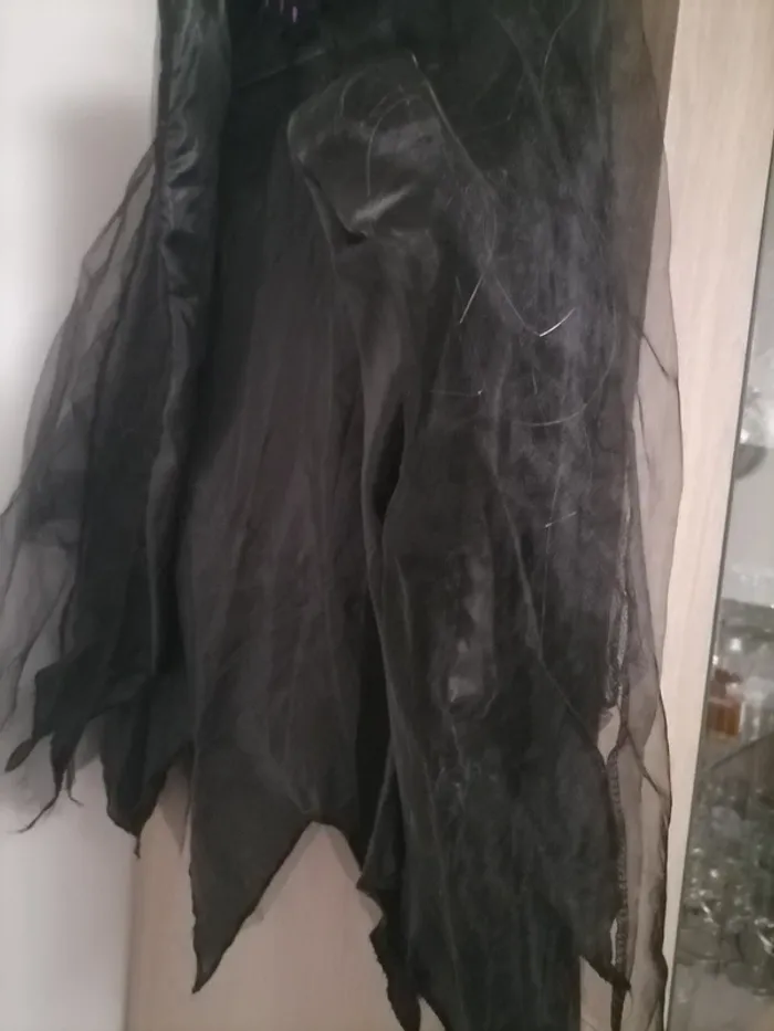 Déguisement chauve souris - photo numéro 5