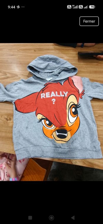 Je vends pulls pour fille 