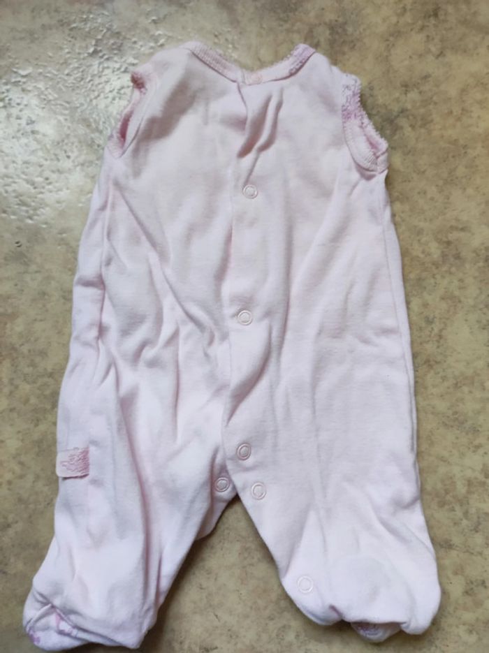 Grenouillère - photo numéro 2