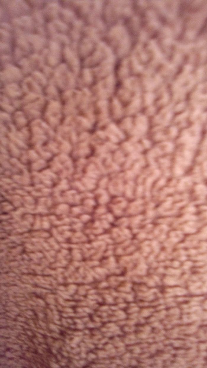 Gilet chocolat à capuche neuf - photo numéro 12