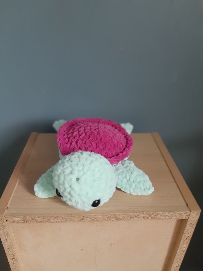 Tortue rose et verte