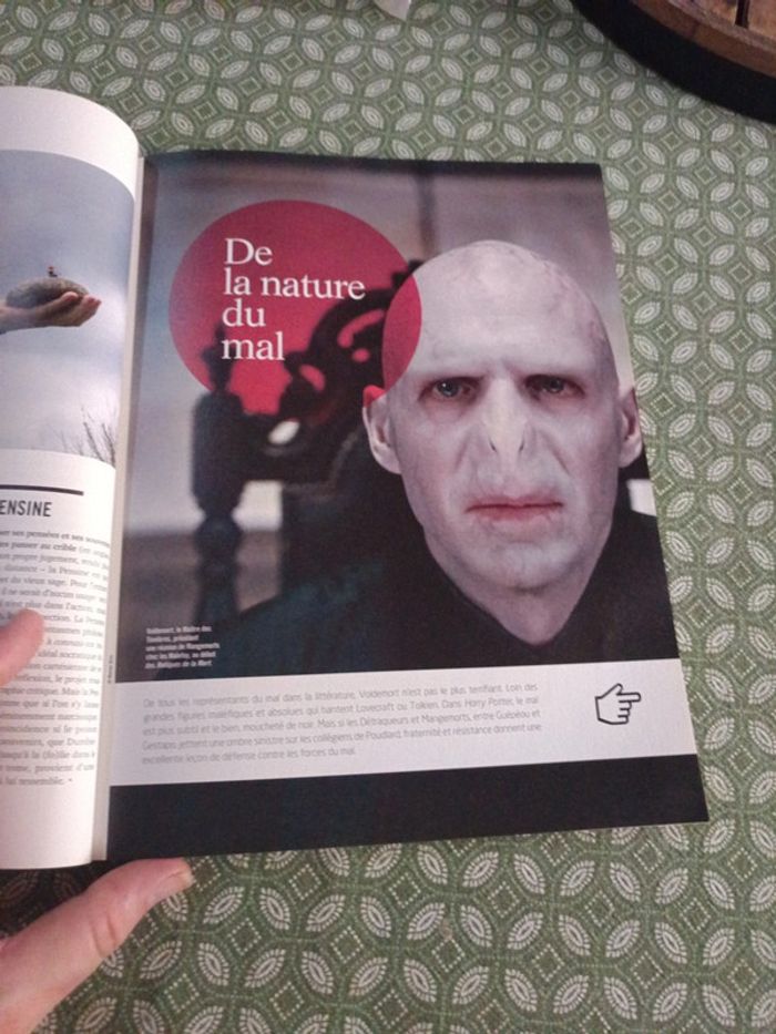 Magazine Harry Potter Philosophie ( HS) - photo numéro 9