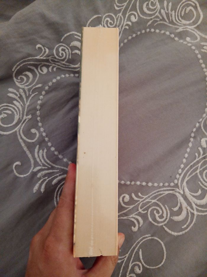 Livre (16) 📚 Le goût du soleil - photo numéro 4