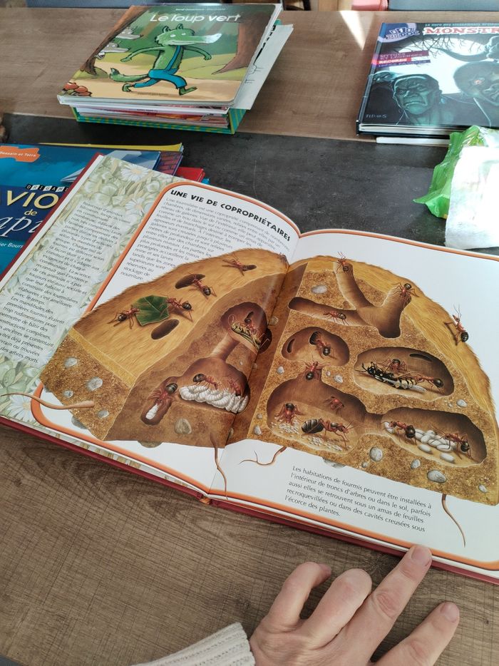 Livre doc enfant - photo numéro 4