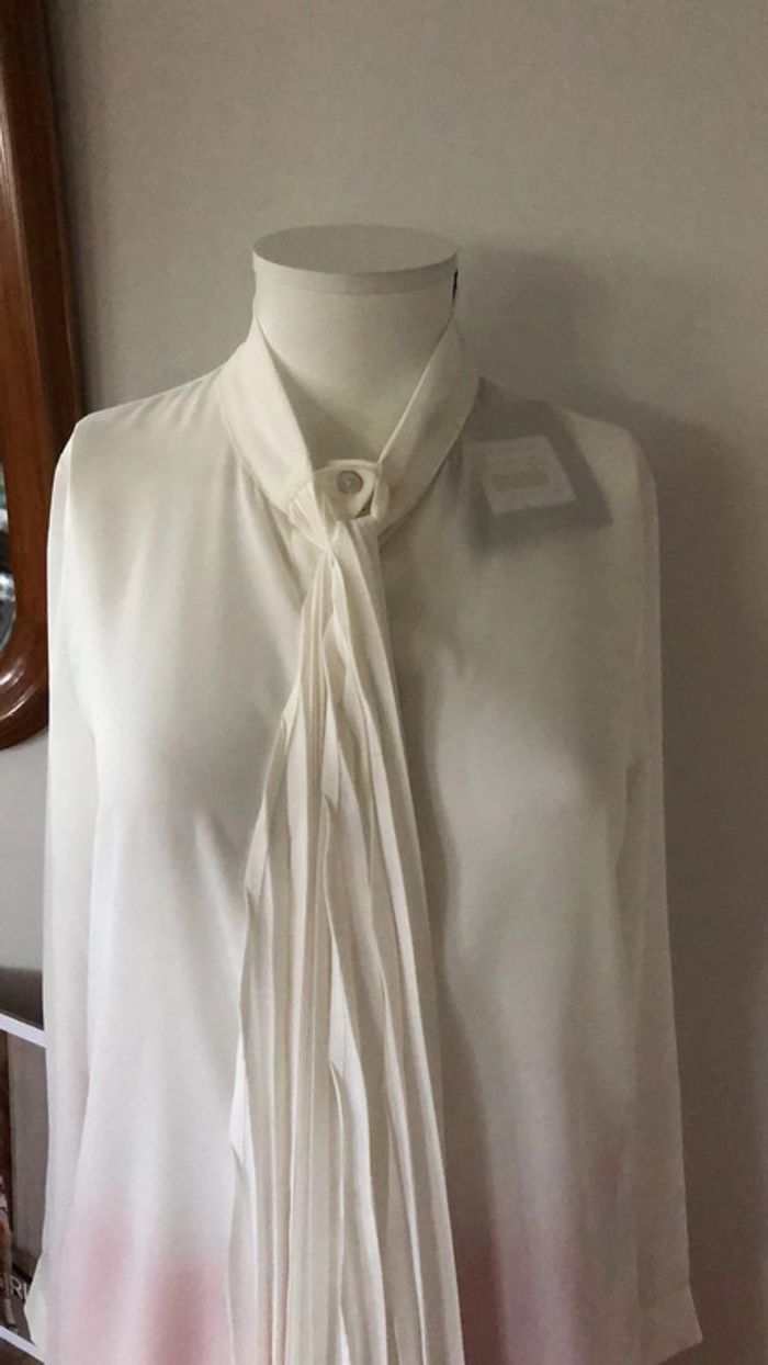 Chemisier - photo numéro 2