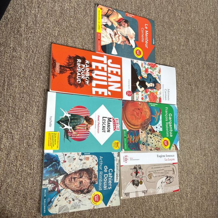 Lots de 7 livres pour le bac de français