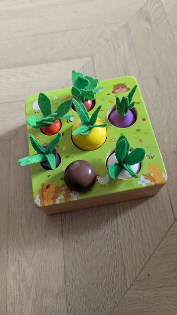 Jeu d'encastrement le potager