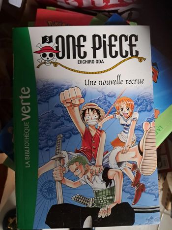 livre onepiece