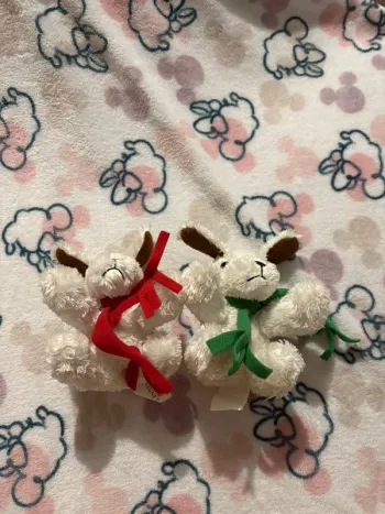 Lot de 2 peluches chien