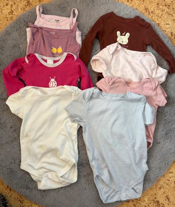 Lot de 8 bodies