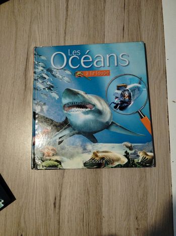 Les océans à la loupe