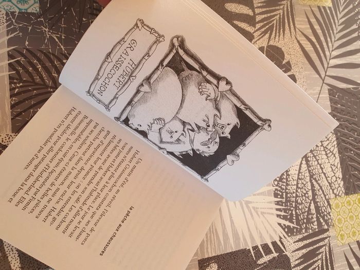 Livre enfants première lecture - photo numéro 3