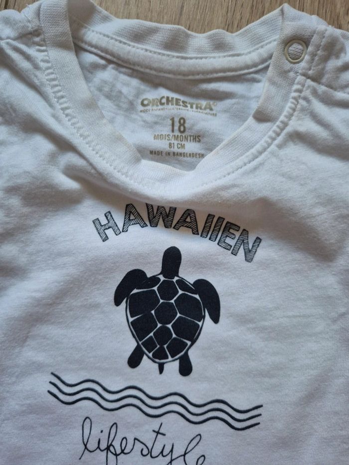 Ensemble orchestra - photo numéro 8