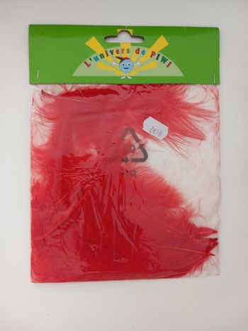 Plumes rouges diy déco ou loisirs créatifs