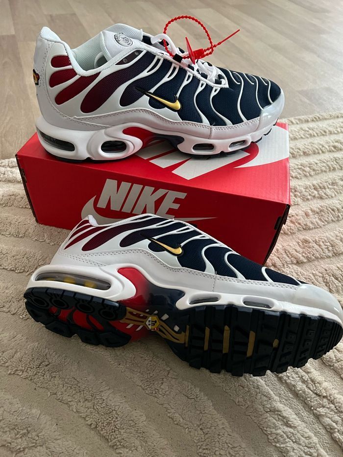 Nike Tn psg