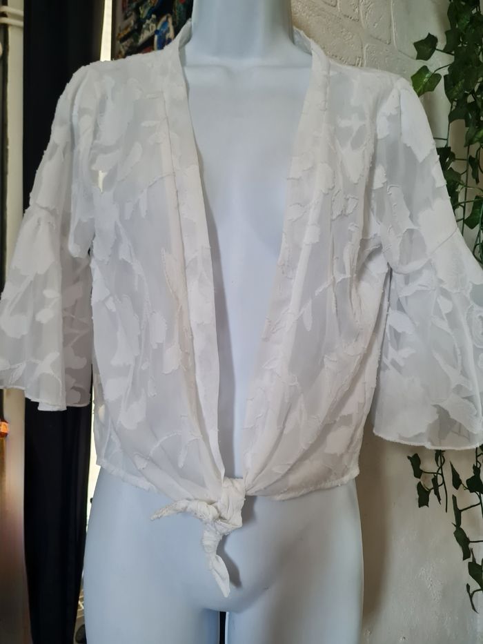 Chemise ouverte - photo numéro 2