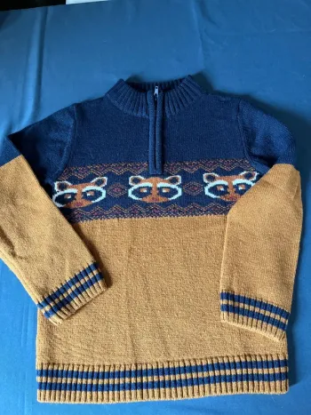 Pull raton laveur