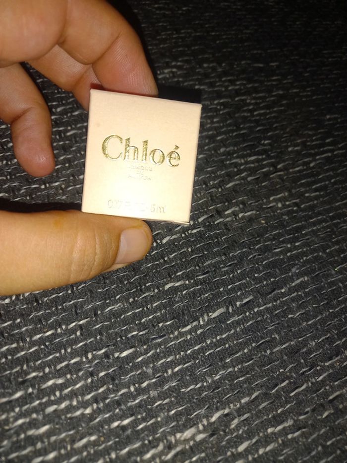 Miniature chloé
