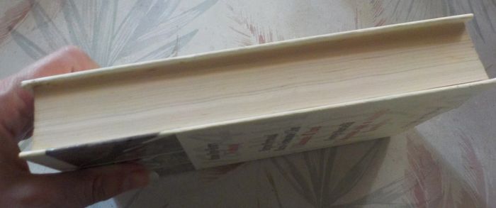 Mémoire de l'Histoire Vidocq Jeanne d'Arc L'homme qui a sauvé Londres - photo numéro 4