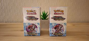 🔥Pokémon - 2 demi display "aventure ensemble" EV09 - FR 🔥