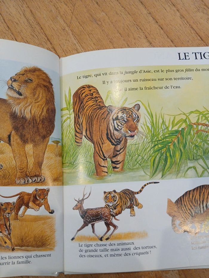 livre "les animaux sauvages" collection premiers regards - photo numéro 2