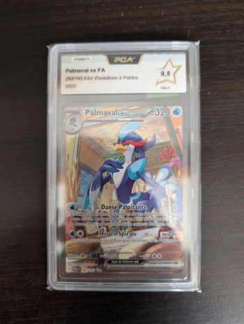 Palmaval  pal 260 PCA 9.5